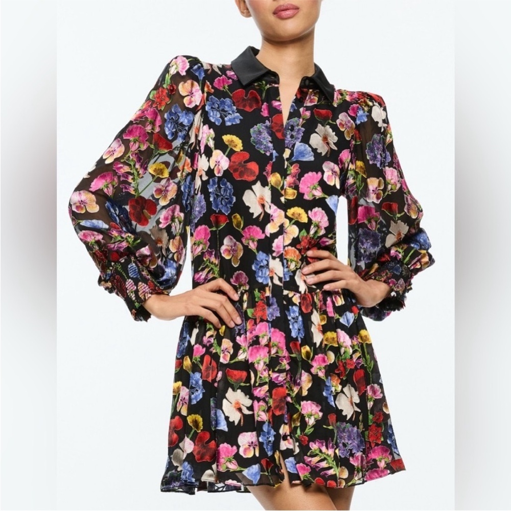 Alice + Olivia Black Floral Dress with Pink, Red and Purple Blooms